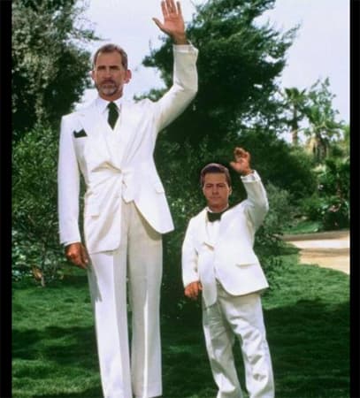 Así se gozó en las redes la gira de los reyes de España por México.