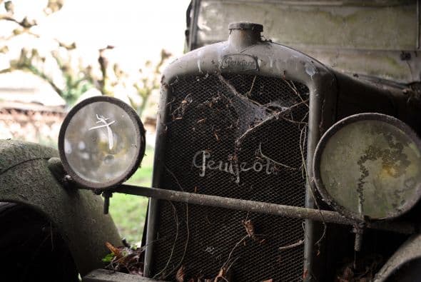 Entre los 60 autos de colección hay modelos exclusivos de marcas como Ferrari, Maserati, Porsche y Jaguar. Los autos fueron comprados entre las décadas de 1950 y 1970 por el empresario del transporte Roger Baillon, quien soñaba con restaurar su antigua colección y mostrarla en un museo. Llegó a reunir más de 100 autos pero su empresa empezó a decaer y tuvo que vender la mitad. Tras su muerte todo quedó para su hijo Jacques, quien falleció el año pasado. Los siguientes herederos, los nietos de Baillon, descubrieron el tesoro cuando fueron hasta la granja para ver su estado con intenciones de ponerla a la venta.