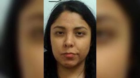 <a href="https://www.univision.com/local/atlanta-wuvg/presunta-asesina-de-rossana-delgado-podria-estar-en-mexico-video">Carolina Jamín Rodríguez Ramírez, es la mujer que aparece en el video junto a Rossana Delgado. Sigue prófuga y las autoridades creen que está en México. </a>