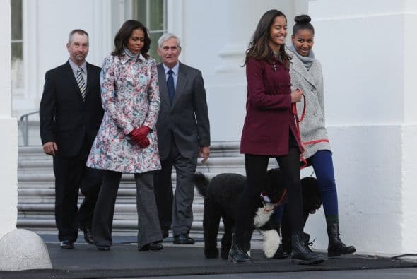 El abeto de Colorado de seis metros de altura proviene de Pennsylvania y fue recibido por las hijas de Obama.