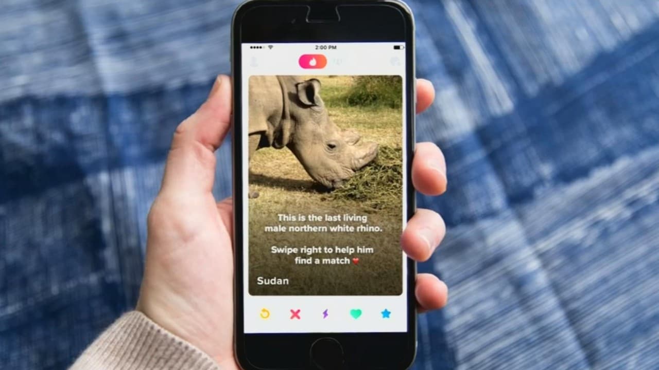Sudán, el rinoceronte que recurre a las redes sociales para salvarse de la extinción