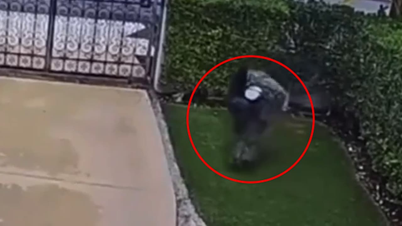 Arrestan a sospechoso por entrar a casas en Beverly Hills