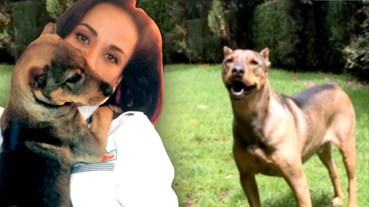 Consuelo Duval relata la dramática manera como llegó a su vida ‘Mochito’