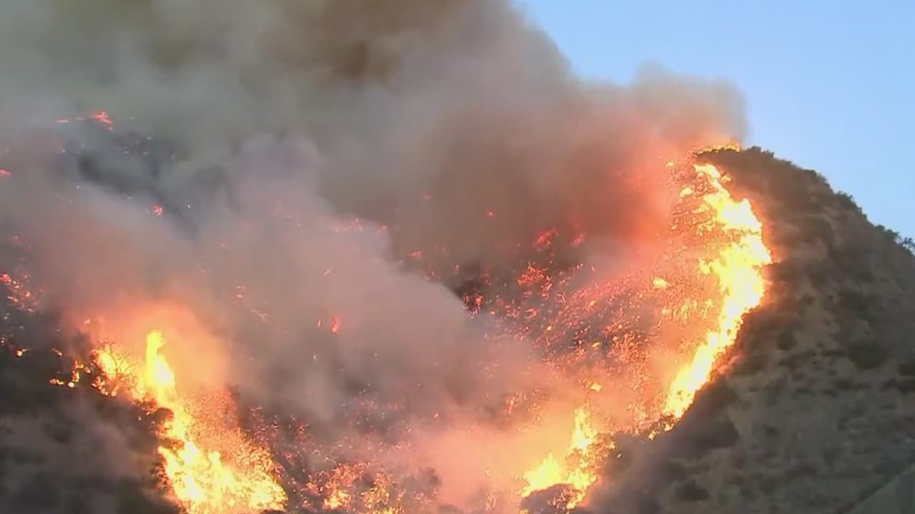 Más de 100 bomberos de Arizona fueron enviados a California para combatir los incendios forestales