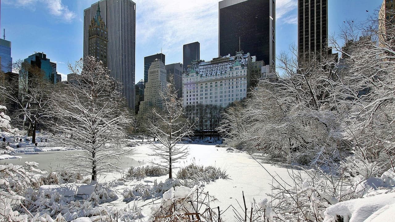 NY se prepara para tormenta invernal: esto es lo que tienes que saber

