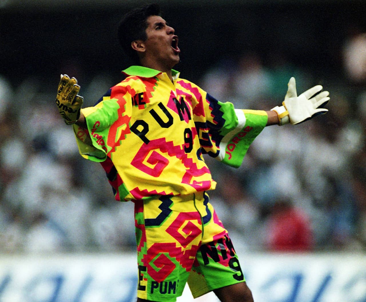 Debutó en 1988 con los Pumas, donde ganó un título de liga y uno de Campeones de Concacaf en 1989.