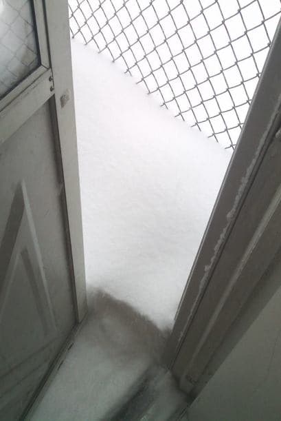 Rafa Pérez Paterson nos muestra cómo invadió la nieve parte de su casa.