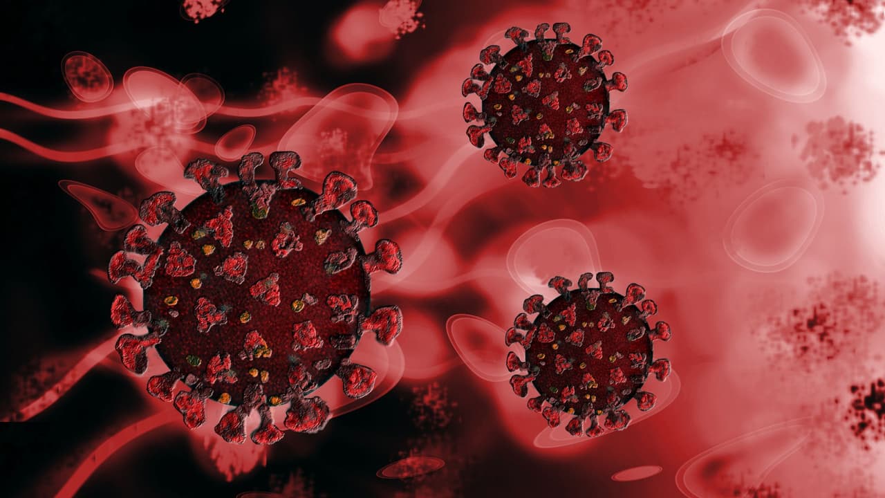 Descubierto en 2001, el metapneumovirus pertenece a la familia de los paramixovirus junto con el virus respiratorio sincitial (RSV). 
<br>