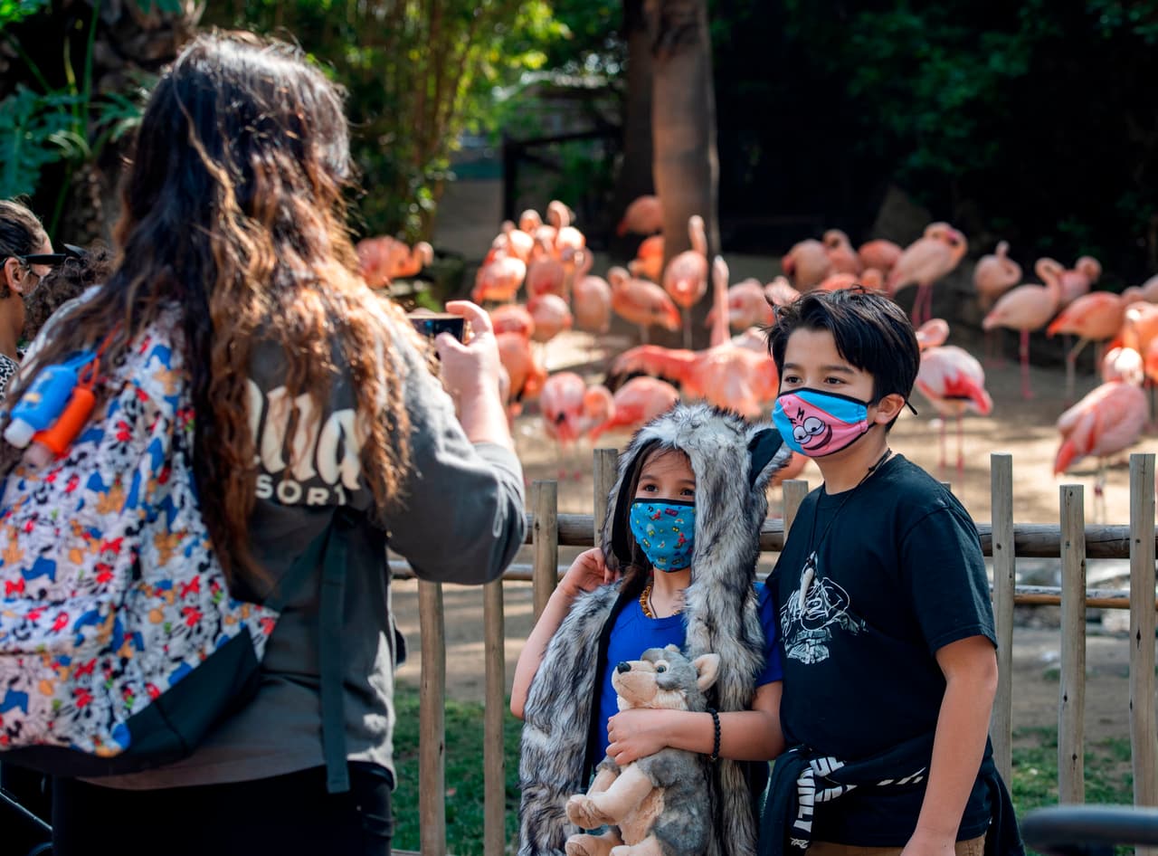 <b>Museos, zoológicos y acuarios</b> pueden aumentar su capacidad para recibir clientes al 50% con todas las medidas de seguridad.