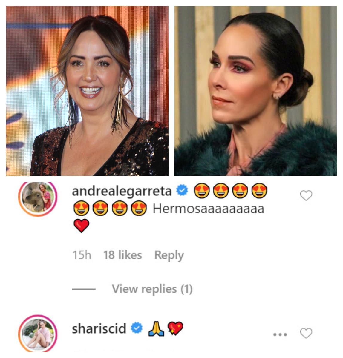 <b><a href="https://www.univision.com/famosos/30-anos-despues-de-alcanzar-una-estrella-andrea-legarreta-y-hector-suarez-gomis-se-reencuentran-fotos" target="_blank">Andrea Legarreta</a> </b>y 
<b><a href="https://www.univision.com/famosos/sharis-cid-reflexiona-lo-dificil-que-ha-sido-sanar-tras-el-asesinato-de-su-prometido-video" target="_blank">Sharis Cid</a> </b>también le demostraron su cariño. 
<br>