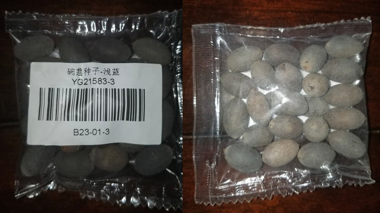 Residentes de Houston reciben misteriosos paquetes con semillas provenientes de China