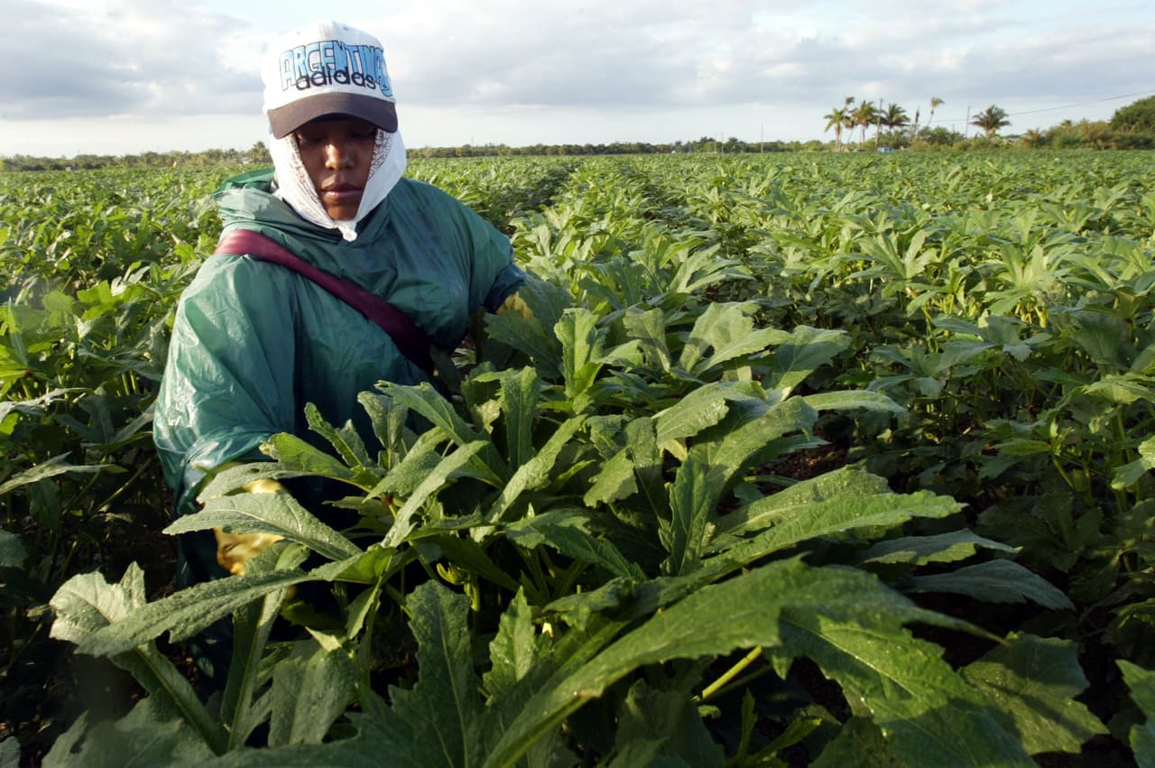 Cuando ganarse la vida se convierte en una pesadilla: hispanos denuncian el odio en el trabajo