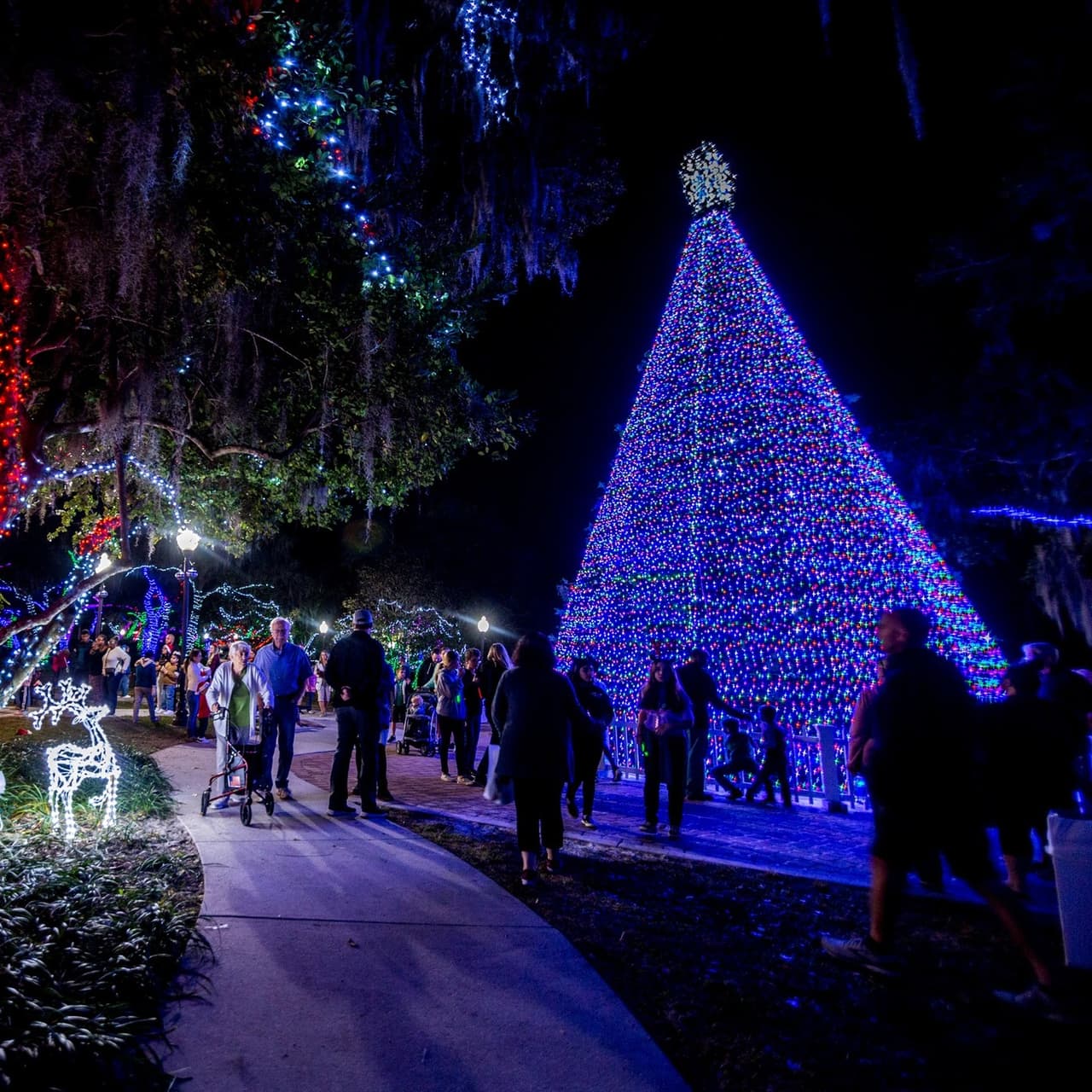 <b>Holiday in the Park</b>
<br>
<b>Fecha:</b> 1 de diciembre
<br>
<b>Lugar:</b> Central Park en Lake Mary City Hall
<br>
<b>Sitio web</b>: 
<a href="https://www.lakemaryfl.com/Calendar.aspx?EID=1214&month=12&year=2023&day=1&calType=0">https://www.lakemaryfl.com/Calendar.aspx?EID=1214&month=12&year=2023&day=1&calType=0</a> 
<br>
<br>Disfruta del espectáculo que darán más de un millón de luces festivas, la visita de Santa Claus, pista de patinaje y mucho más.