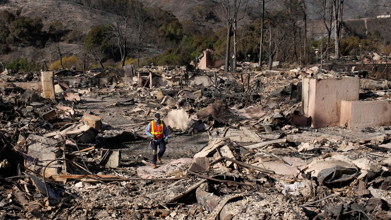 <h2 class="cms-H2-H2"><b>Annette Rossilli (85 años)</b></h2>
<br>
<br>Annette Rossilli decidió quedarse en su hogar de Pacific Palisades junto a sus mascotas, pese a las advertencias de evacuación. Su cuerpo fue encontrado en su coche. Rossilli, quien dirigió un negocio de plomería junto a su esposo, era conocida por su amabilidad y gratitud.