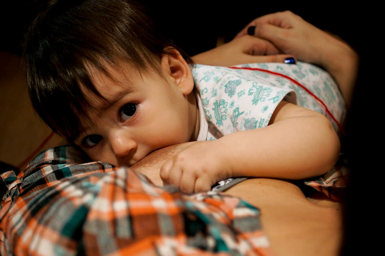 La razón de ser, biológica, de los senos es justamente alimentar a los hijos. Es la palabra 'mama', la que da orígen al término 'mámífero', categoría dentro de la que estamos los seres humanos.