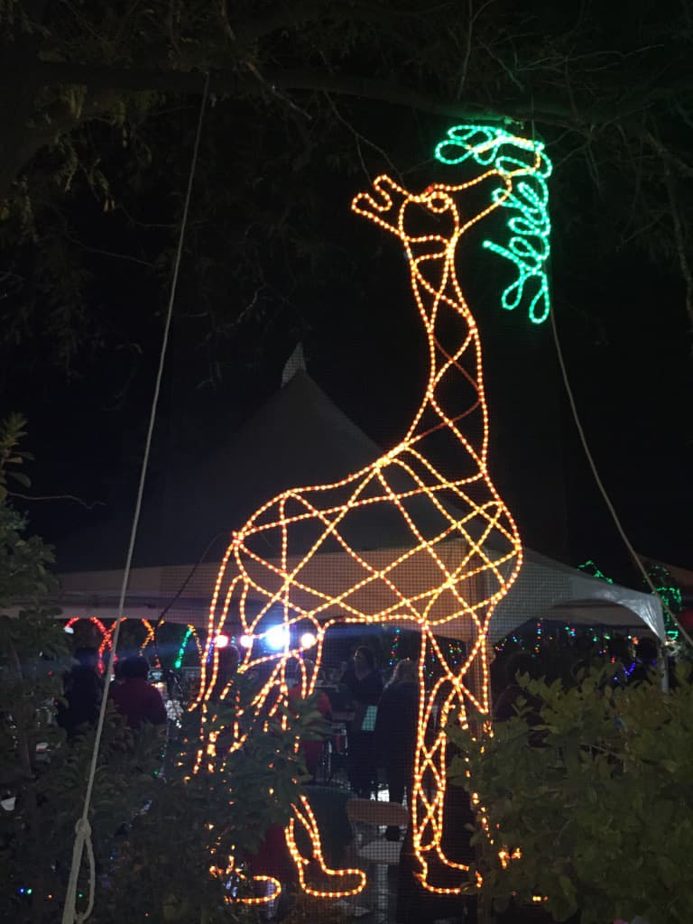 En el recorrido por el zoológico de animales de luces se encuentra la jirafa.