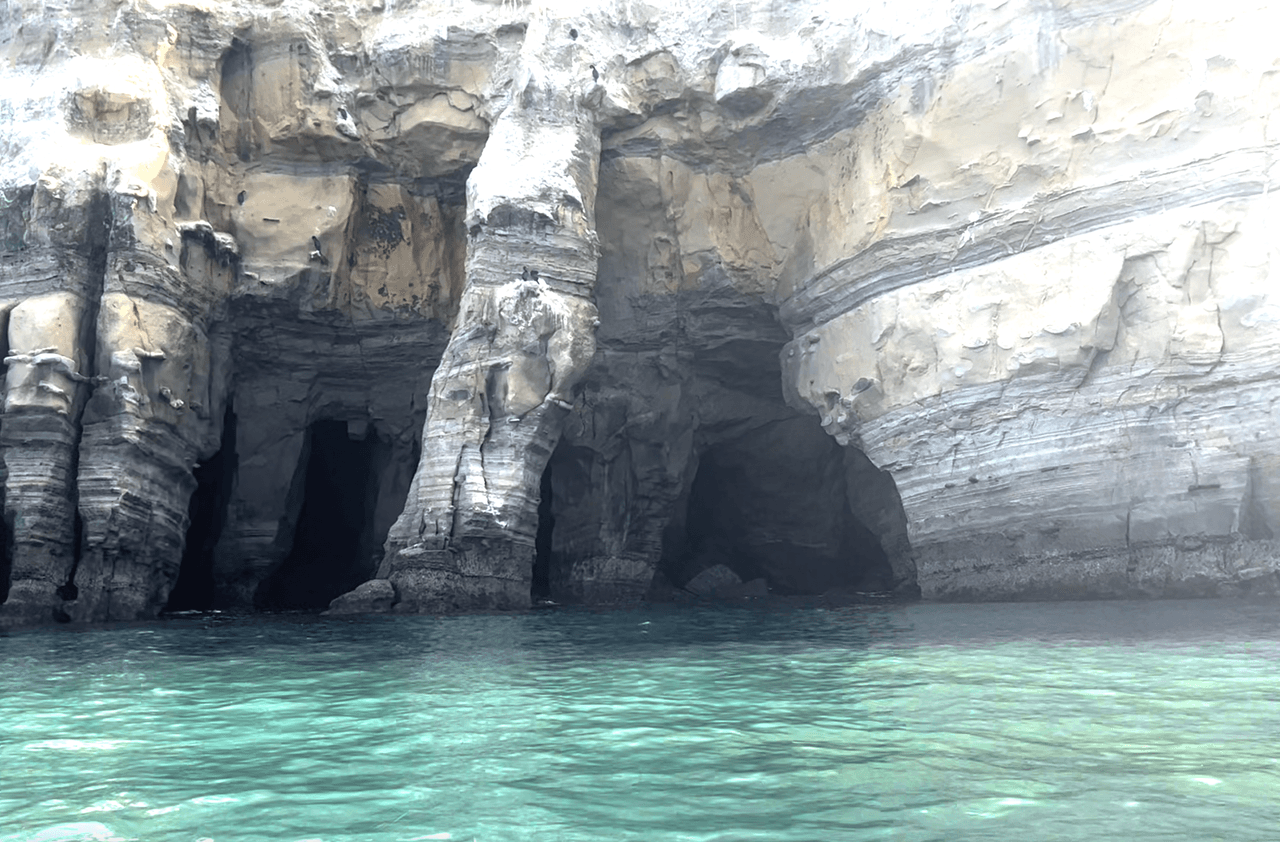 Las siete cuevas de La Jolla Cove fueron excavadas en un acantilado de piedra arenisca del Cretácico de 200 pies de altura, lo que significa que tienen unos 75 millones de años y son uno de los hitos geográficos más antiguos de la zona.