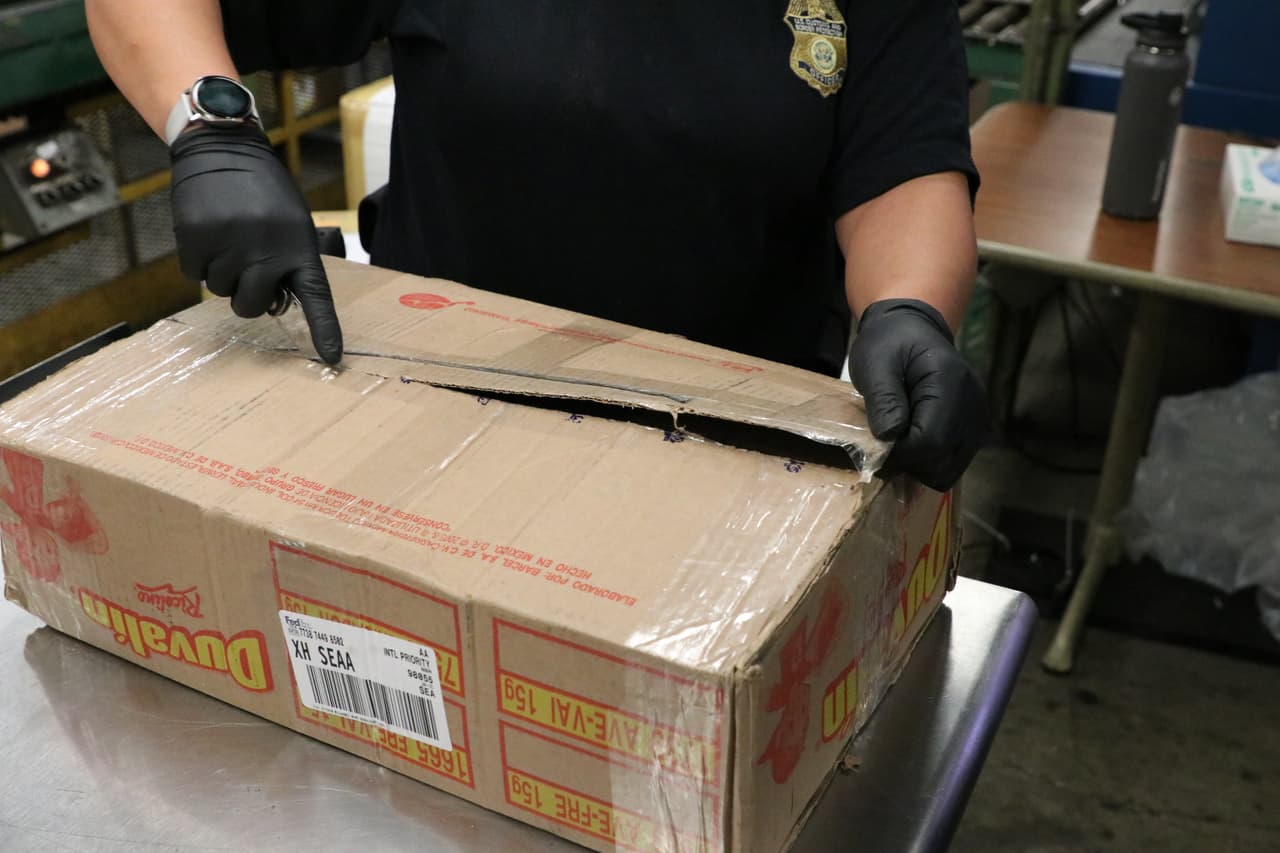 Carteles enviaron por correo 19 toneladas de droga a EEUU y su nuevo producto es la ayahuasca   