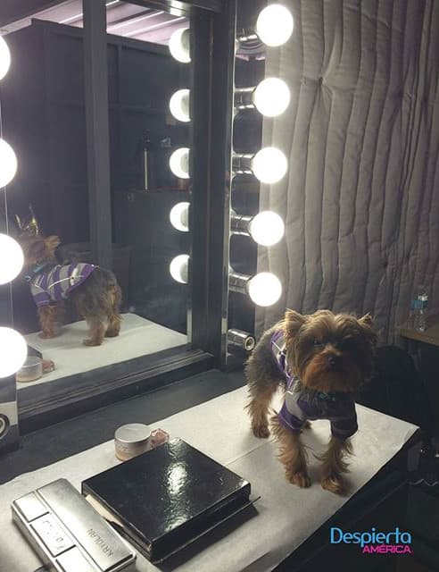 Toby también se prepara en el camerino.(Abril 19, 2016)