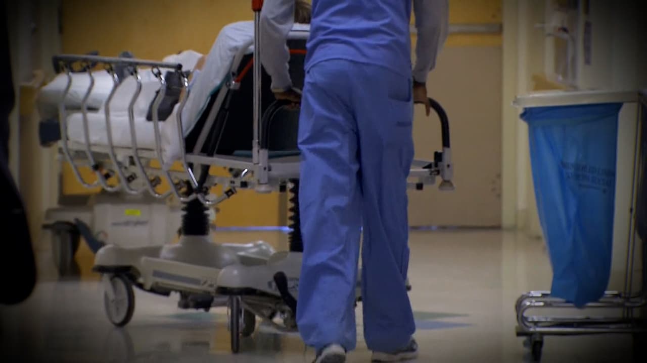 El primer posible caso se detectó este domingo, en el condado Broward.