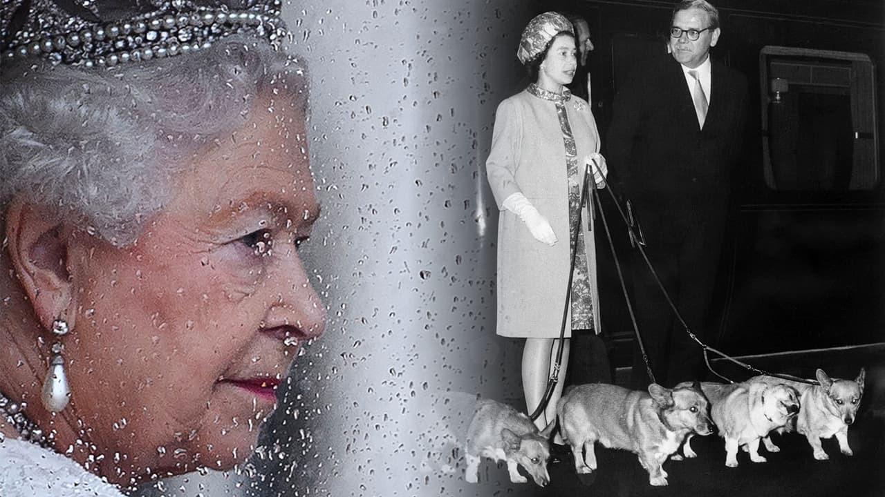 Willow, el último corgi de la reina Isabel II, murió el pasado fin de semana, se informó públicamente este miércoles. La mascota tenía cáncer.