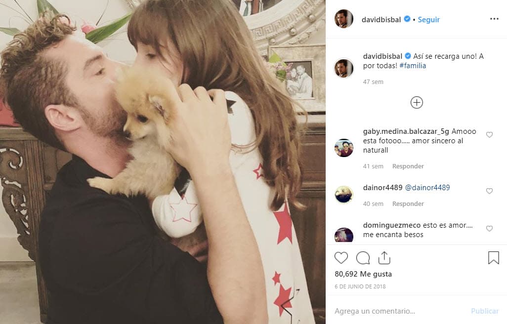 En entrevistas previas al pleito legal, Bisbal confesó durante su paso por los premios de la Cadena Dial celebrados el pasado 14 de marzo, intentó convencer a su ex de que cuidara la privacidad de su hija: "He tratado de convencerla (a Elena) para que proteja la intimidad de su hija, pero no lo ha hecho nunca".