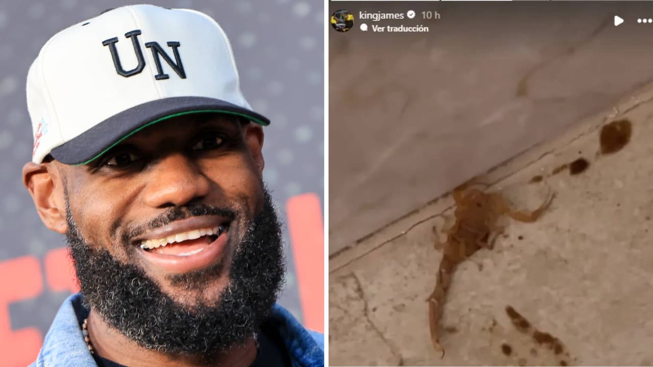 El habitante de Arizona que puso a temblar a LeBron James: su encuentro con un escorpión