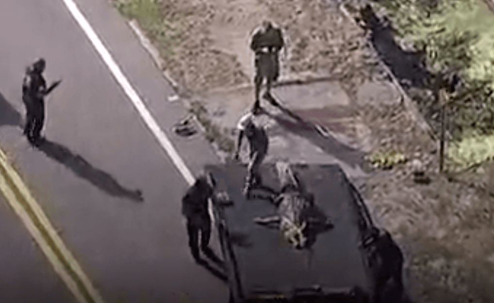 Un gigantesco caimán es visto con un cuerpo en su boca: identifican luego a una víctima de 41 años