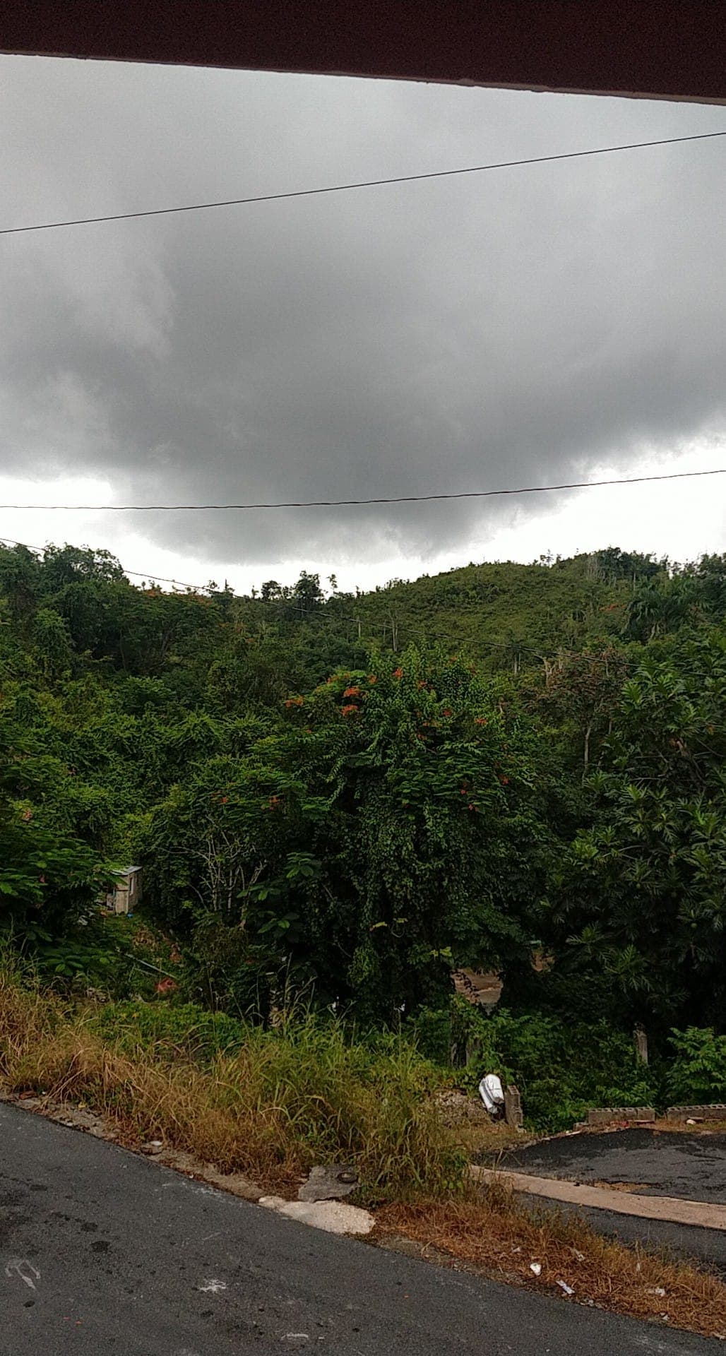 En el barrio Almirante sur en Vega Baja, el cielo se encuentra completamente nublado.