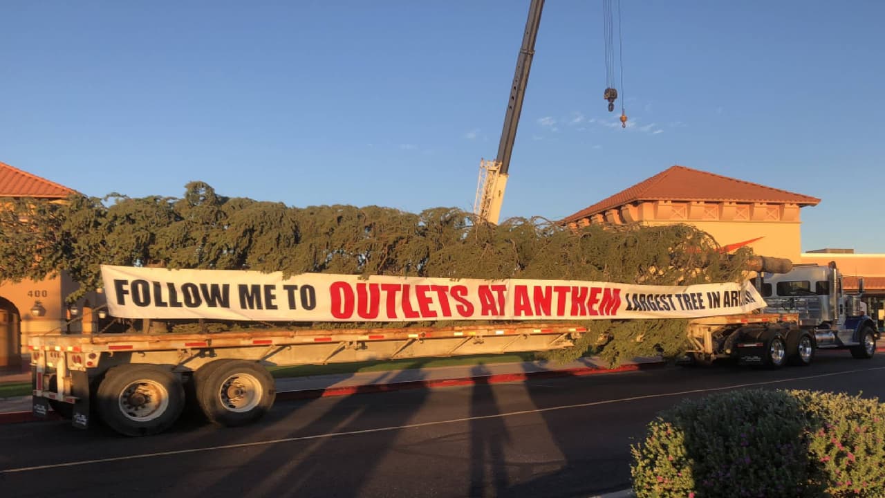 El árbol fue transportado desde la frontera de California/Oregon en un camión de plataforma de 40 pies.
<br>