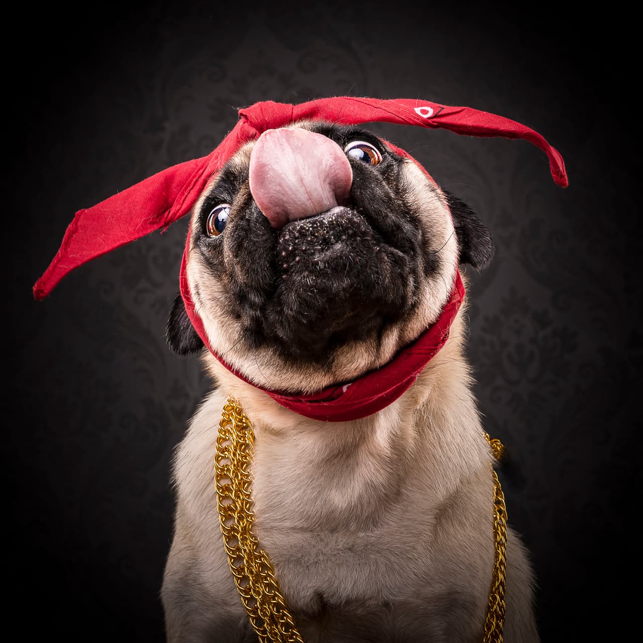 ¡Hasta nos envían besos!