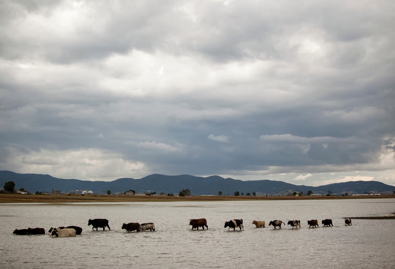 Nubes sobre las montañas de la sierra de Michoacán. Los ganaderos de la zona tuvieron que apresurarse para poner a resguardo a su ganado.