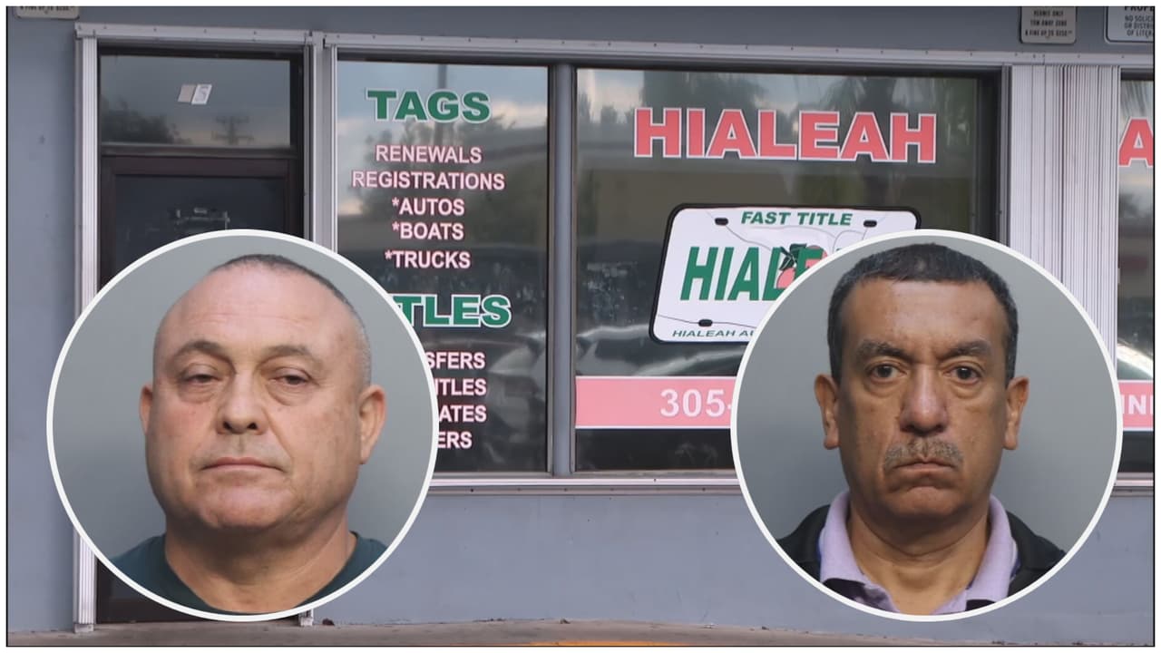 Dos nuevos arrestados en agencia de matrículas de Hialeah: ya son 9 en total