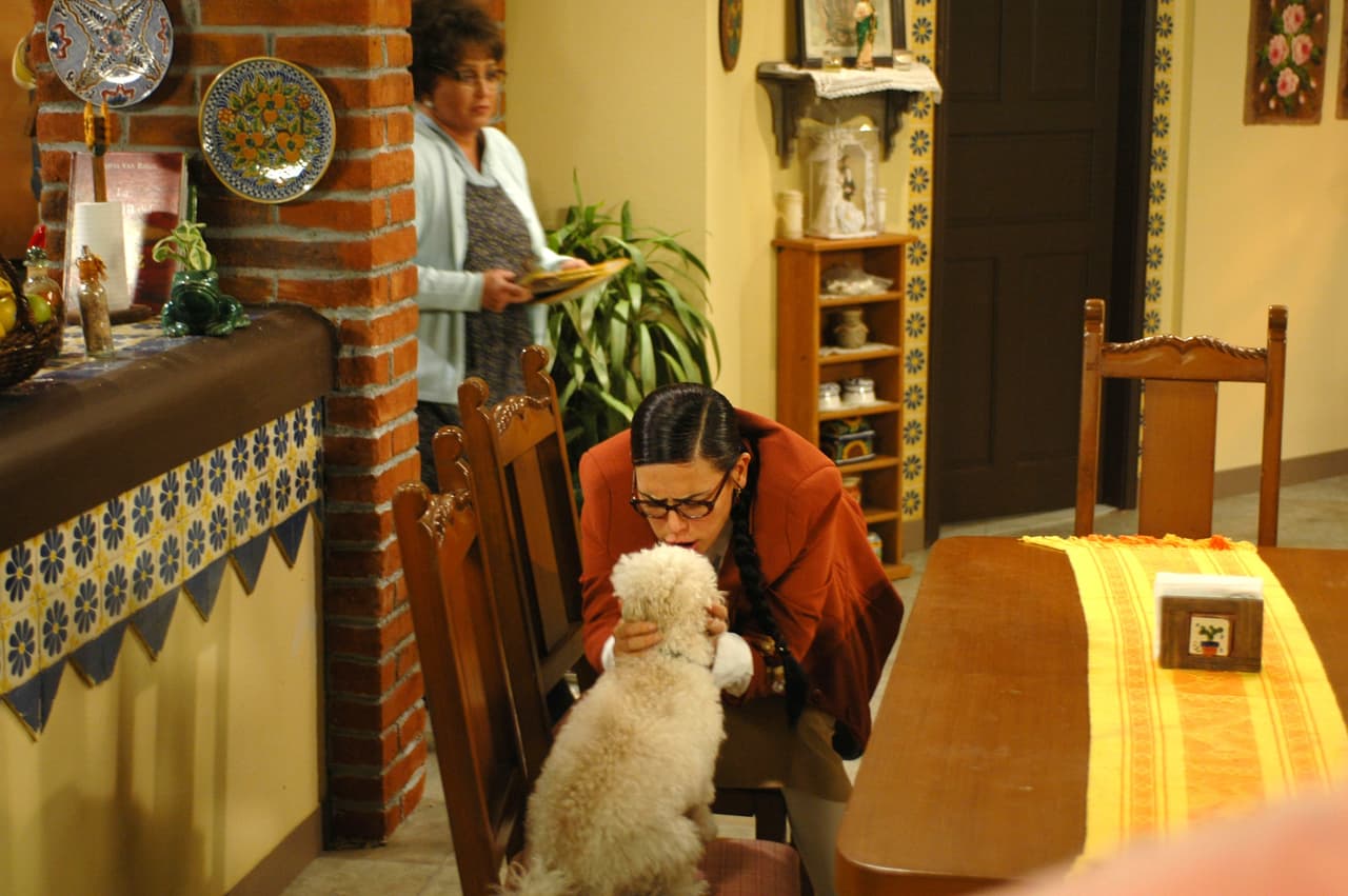 Angélica María ama tanto a su perrita que no duda en llevarlo a los sets de televisión y alfombras rojas e incluso compartieron escenas en la telenovela 'La fea más bella’, donde el animal hizo el papel de Motty.