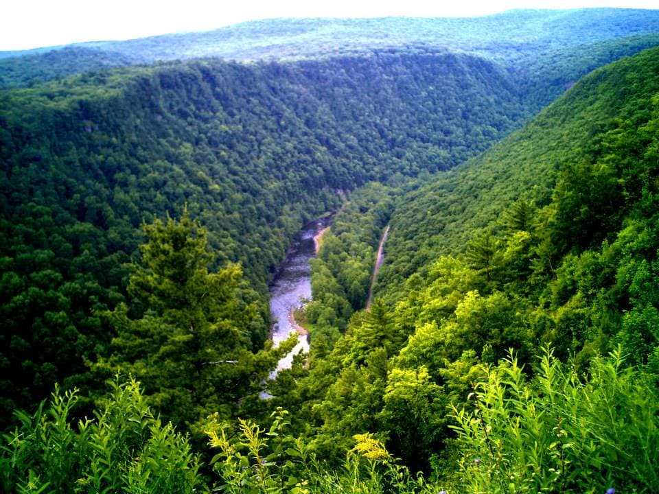 <b>Pennsylvania Grand Canyon</b>: Conocido oficialmente como Pine Creek Gorge, el Gran Cañón de Pensilvania es sin duda uno de los sitios naturales más impresionantes del estado. Ubicado en el norte de Pensilvania cerca de Wellsboro, el Gran Cañón de Pensilvania se extiende 47 millas y alcanza profundidades de 1,450 pies. Los tramos del norte del cañón son populares entre los visitantes y los dos parques estatales allí ofrecen oportunidades para practicar senderismo, así como para disfrutar de vistas panorámicas.