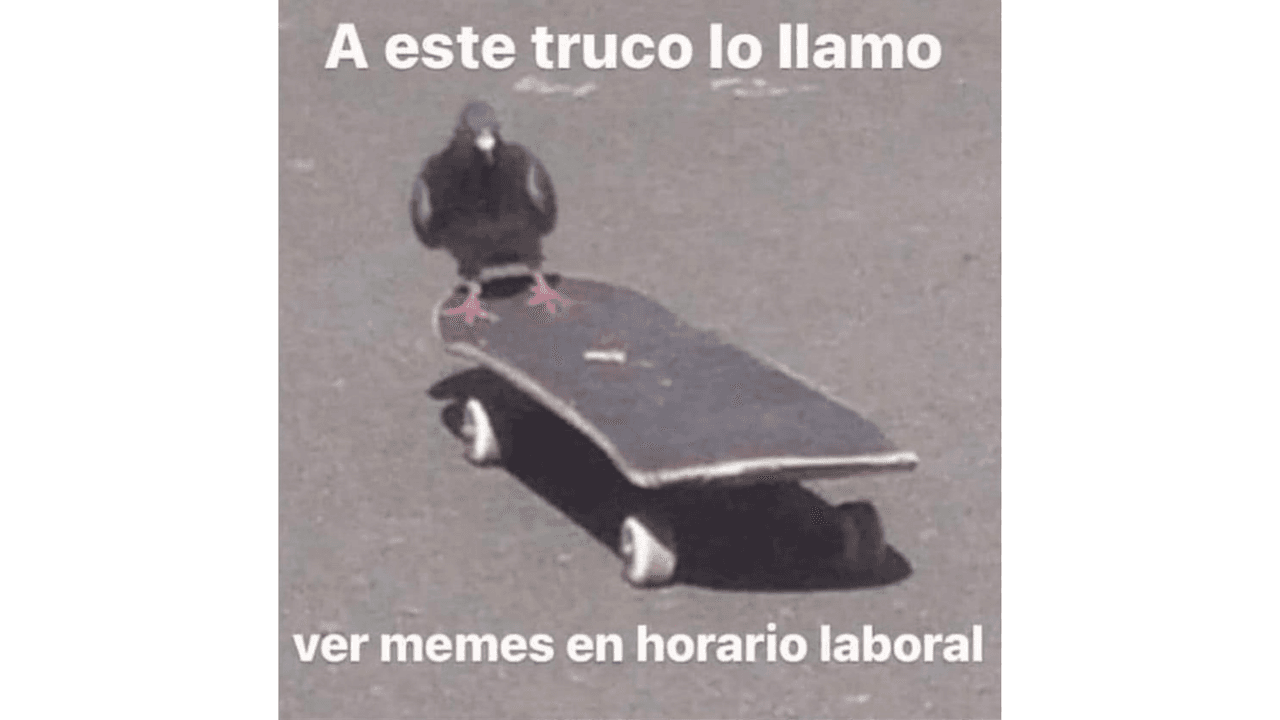 Memes para sobrevivir al lunes