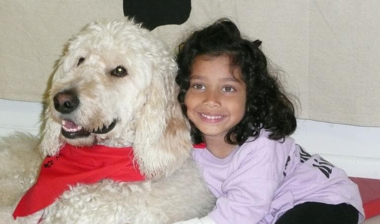 La Corte Suprema revisará demanda de niña contra escuela que se negó a admitir a su perro de servicio