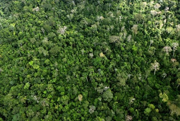 Las denuncias añaden que para ser viable, Belo Monte necesitaría de otras represas aguas arriba para garantizar un año de flujo circulante de agua, lo que significaría la inundación de más bosques, y más daños a la selva del Amazonas.