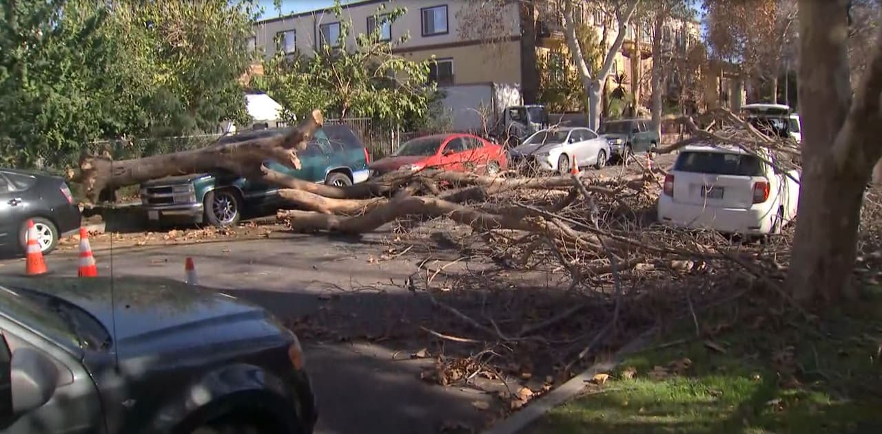 Otros vecinos aseguran que las fuertes ráfagas de viento provocaron que las ventanas de los apartamentos del área se sacudieran con fuerza, causando pánico entre los residentes.