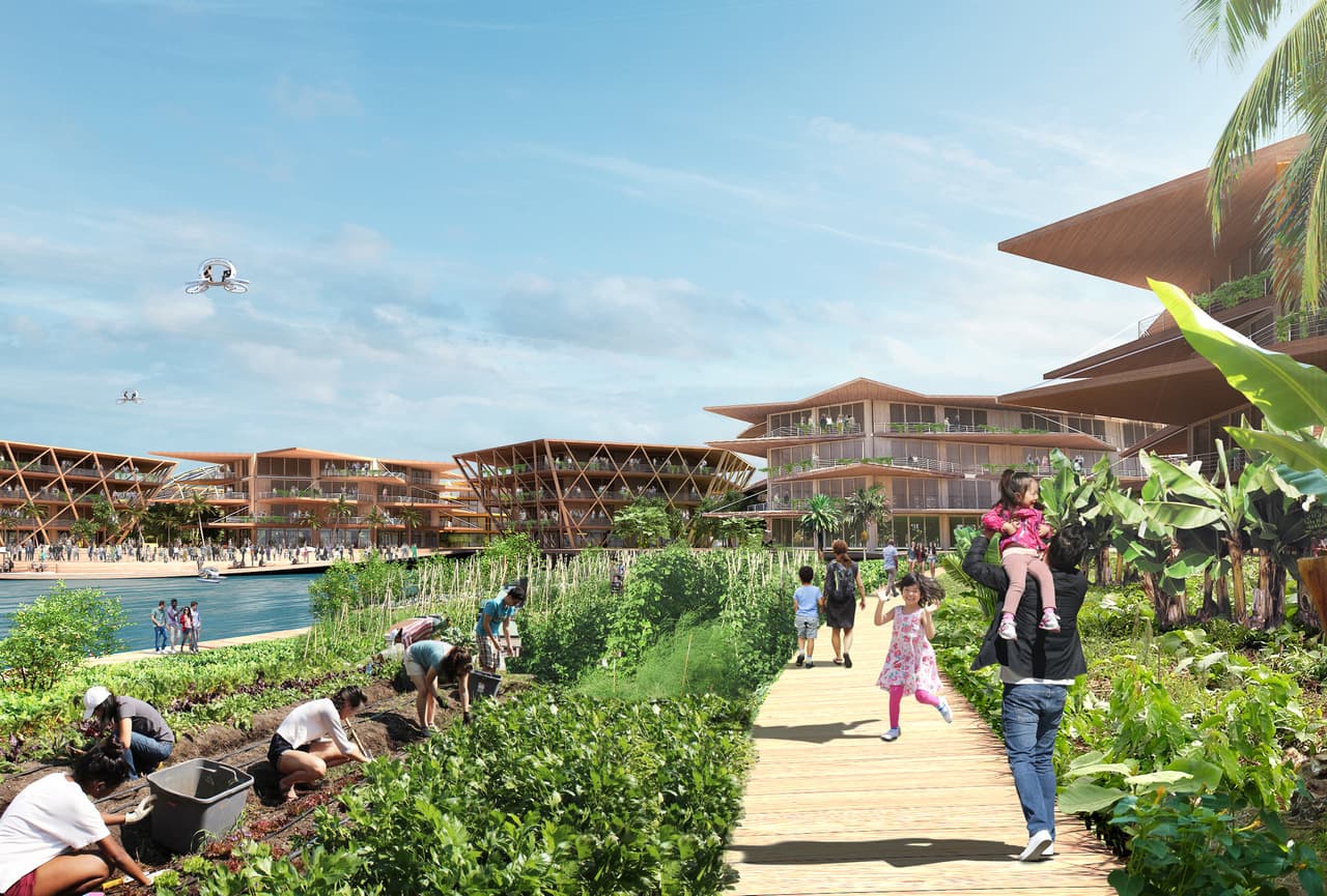 El componente básico de esta ciudad es un vecindario modular o plataforma de dos hectáreas, para comunidades de hasta 300 residentes y dotado de espacios de uso múltiple para vivir, trabajar y reunirse, durante el día y por la noche. Una plataforma flexible, flotante y con bordes bajos, acomodará la producción de comestibles, los muelles para embarcaciones y espacios de reunión.