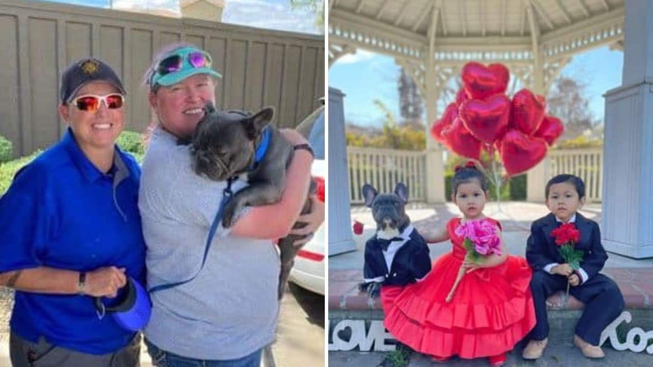 El perro forma parte de la historia de la familia y hasta posaba para las fotos.