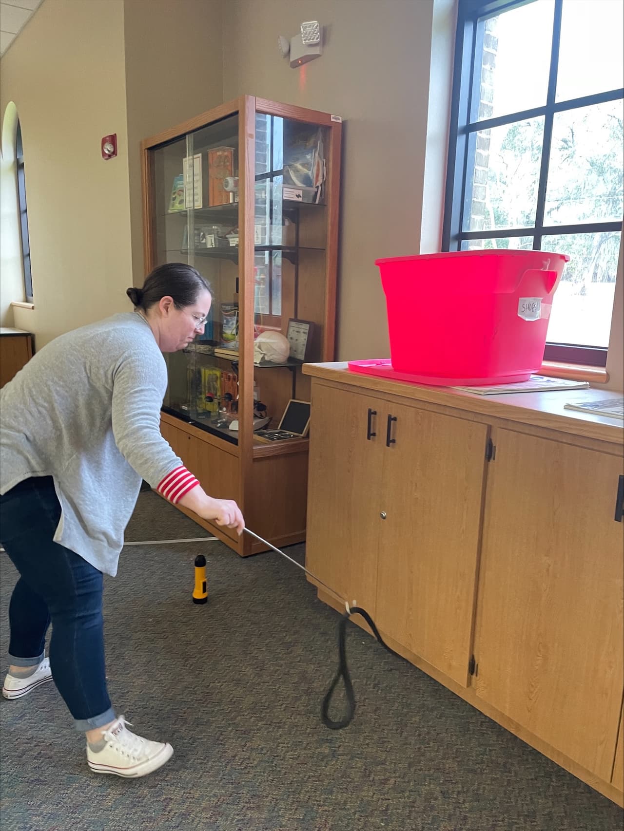 Una biblioteca pública en la Bahía de Tampa tuvo una pelicuar visitante.