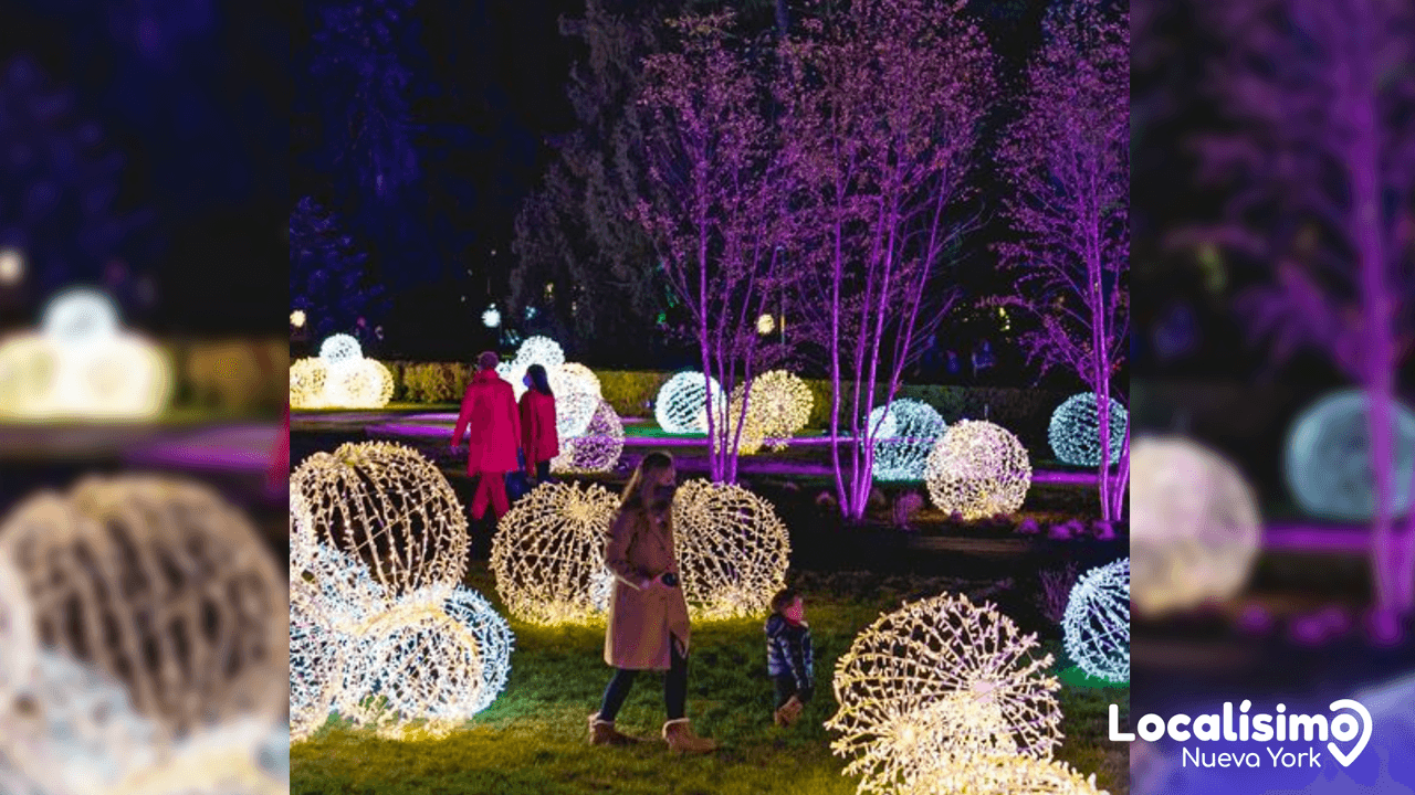 Que hacer en Nueva York con niños, gratis 