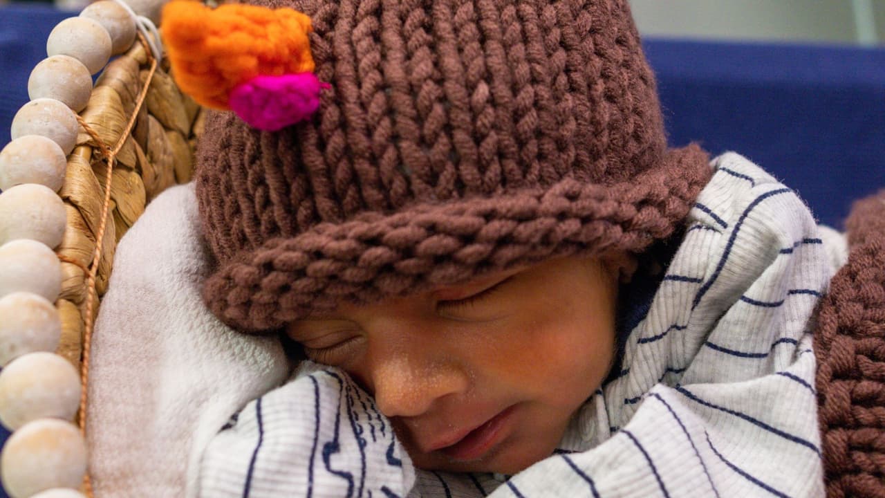 En medio de la temporada de agradecimiento, estas imágenes
<b>nos recuerdan la importancia de encontrar la luz incluso en los momentos más desafiantes</b>. Los pequeños pavo-bebés de Texas Health son
<b>un testimonio viviente de la fuerza y esperanza que pueden surgir de la adversidad</b>. En este Día de Acción de Gracias
<b>nos inspiran a todos a valorar las pequeñas alegrías</b> y agradecer la dedicación inquebrantable de aquellos que trabajan incansablemente para cuidar a los más vulnerables.