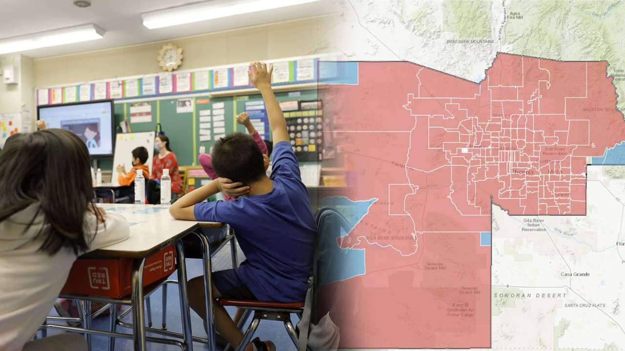Paso a paso: cómo verificar los casos positivos por distrito escolar 