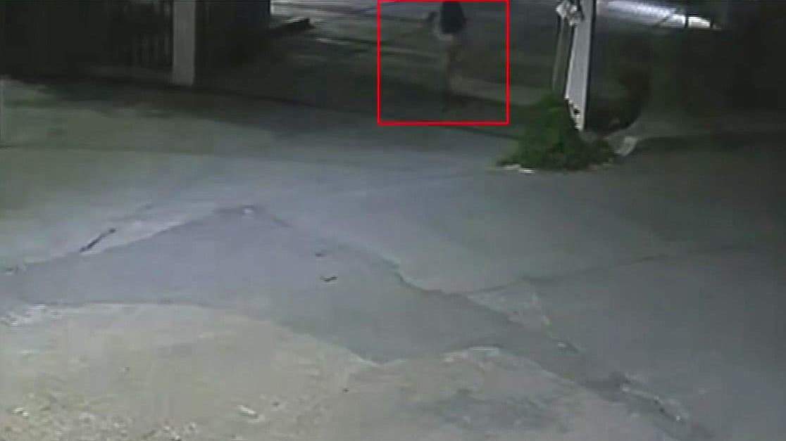 España y México movilizan recursos para capturar al asesino de la estudiante española en Morelos