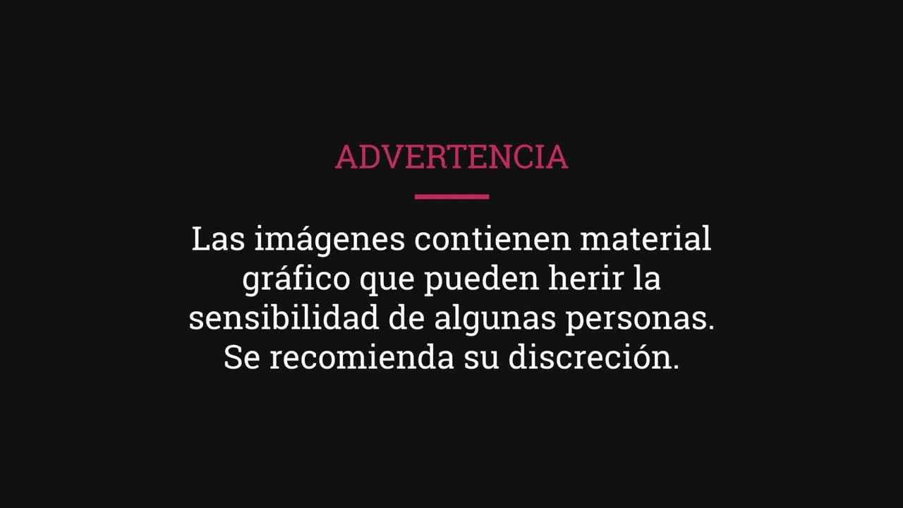 Arrestado: El sospechoso de golpear brutalmente a una anciana en el metro de Nueva York está bajo custodia