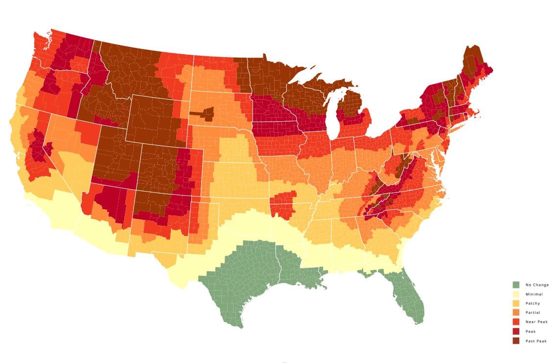 <b>SEMANA DEL 11 DE OCTUBRE</b>: La región noreste del estado en su punto máximo y es perfecto para un viaje del día o para pasar el fin de semana en la zona.