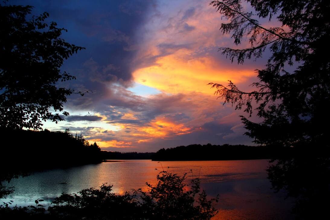 Encuentra más opciones para celebrar a mamá en Pensilvania, 
<b><a href="https://www.univision.com/temas/localisimo-filadelfia">aquí</a></b>.