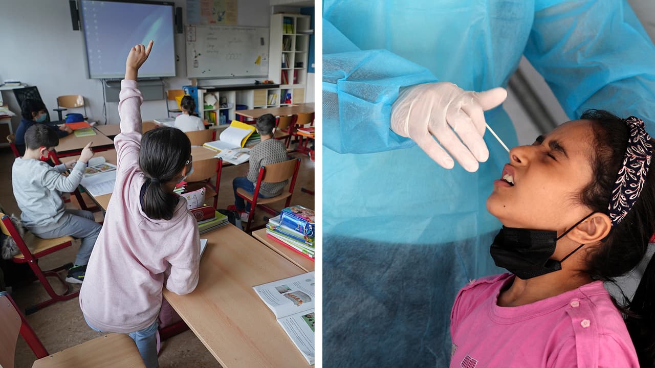 Pruebas gratuitas de covid-19 para estudiantes: los pasos para inscribirse en el programa del condado de Wake